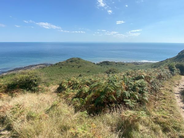 View from Pwlldu Head
